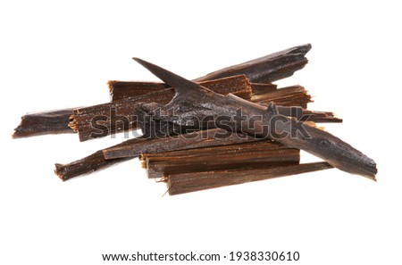 oak branches isolated on white background