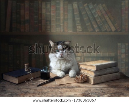 Funny cat with glasses sits at a table in the library
