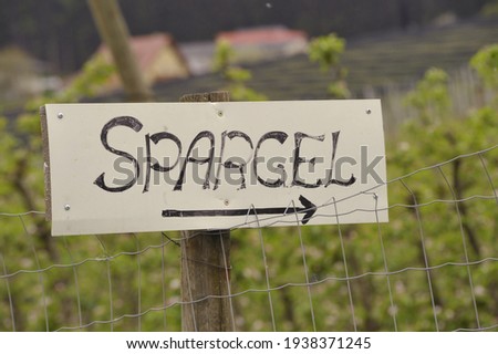 a symbol or sign for asparagus vegetable in german (Spargel)