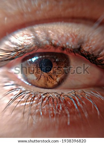 brown lens human eye capture by macro lens