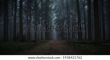 Dark forest in autumn fog Royalty-Free Stock Photo #1938421762