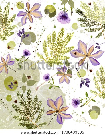 Decorative panel, picture, composition of dried flowers, leaves. For interior, background, cover design. Collage.