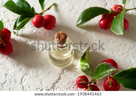 A transparent bottle of essential oil with wintergreen leaves and berries on a white background
