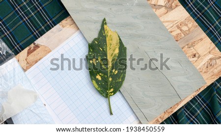 Yellow and green leaf on wood and graph paper