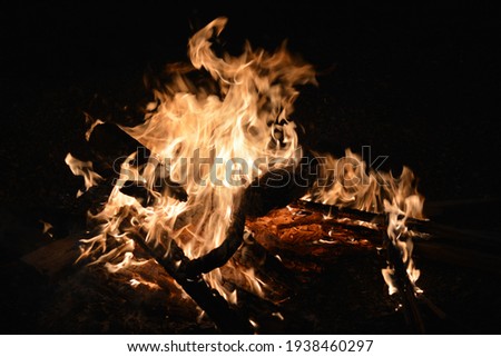 A shot of a bonfire burning in some wood in a dark night