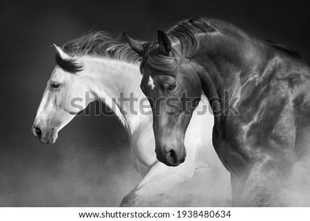 Horses run gallop in desert against sky Royalty-Free Stock Photo #1938480634