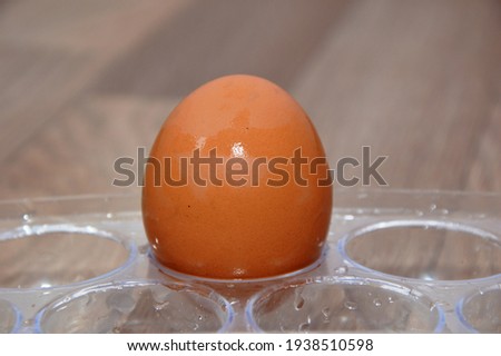 A chicken egg lies in a shipping box for sale in a supermarket
