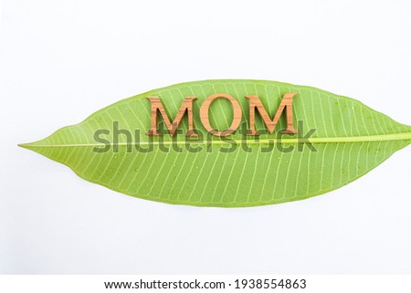 Mother's day card background idea, mom wooden font on fresh green leaf isolate on white background