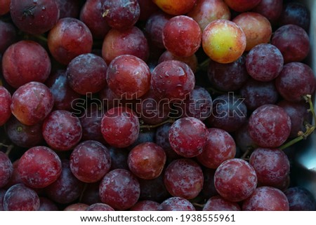 Beautiful picture of flame reddish grapes cultivated in Nashik, Maharashtra, India also called as vineyard of India. Flame, Fermentation, Alcohol, delicious, round, bunch, export, trade, demand, wine.