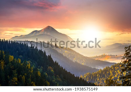 Sunset landscape with high peaks and foggy valley with autumn spruce forest under vibrant colorful evening sky in rocky mountains. Royalty-Free Stock Photo #1938575149