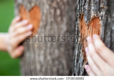 two heart carved on a tree and two palms together forever