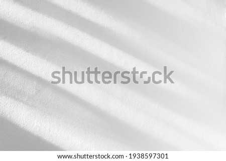 Abstract leaf and light shadow blurred background. Natural diagonal leaves tree branch shadows and sunlight dappled on white concrete wall texture for background wallpaper and design Royalty-Free Stock Photo #1938597301