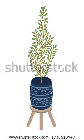 Houseplant in ceramic pot. Vector home plant tree illustration. Ceramic pot with ornament. Hand drawn house plant on little table.