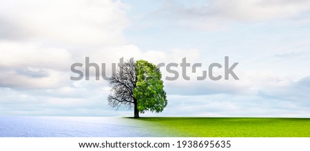 Season change from winter to summer Royalty-Free Stock Photo #1938695635