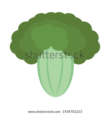 Isolated broccoli icon. Vegetable icon - Vector illustration