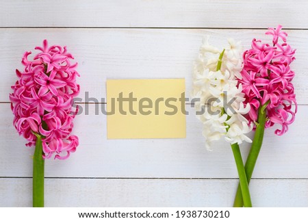 Fresh pink and white flowers hyacinths in ray of light and a sheet of paper on a white wooden table, a love letter. Selective focus. Place for text.
