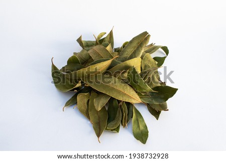 dried bay leaves isolated white background