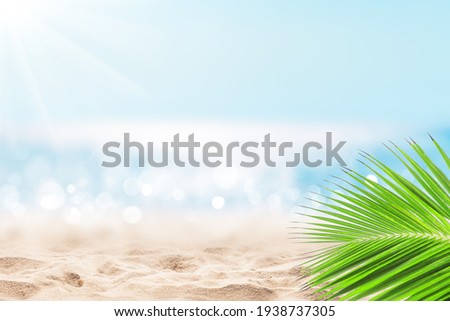 Coconut palm leaf against blue sky and beautiful beach in Punta Cana, Dominican Republic. Vacation holidays summer background. Landscape of tropical summer beach.