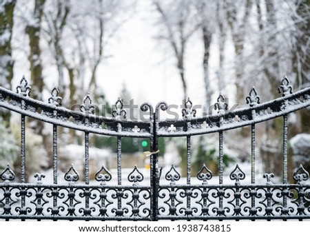 Old iron gates with victorian ironwork locked closed with snowy scene falling and heavy snow settling on metal.  Line of trees in winter landscape entrance driveway.