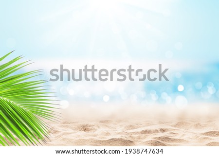 Coconut palm leaf against blue sky and beautiful beach in Punta Cana, Dominican Republic. Vacation holidays background wallpaper. Landscape of tropical summer beach. 