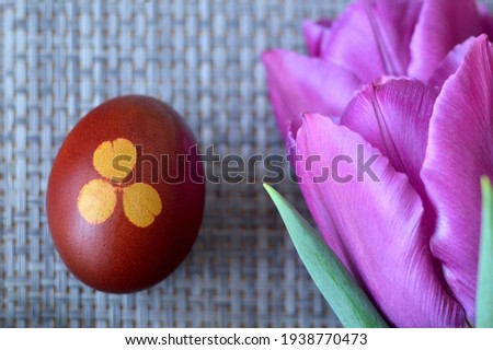 Easter egg naturally dyed with onion skins	
