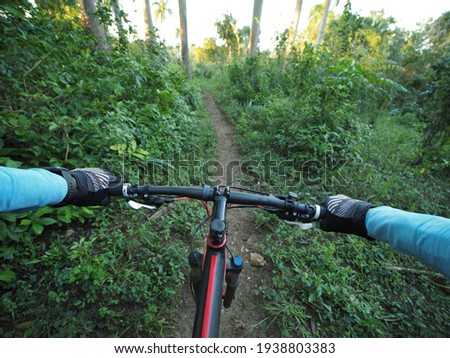POV shot of male hands on handlebar of a mountain bike in tropical summer park.