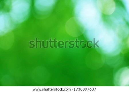 Blurred nature bokeh for the background,Green background