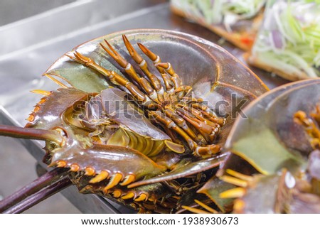 Horseshoe crabs are marine arthropods of the family Limulidae, suborder Xiphosurida, and order Xiphosura. They are invertebrates, meaning that they lack a spine. Royalty-Free Stock Photo #1938930673