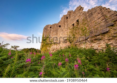 old castle among purple flowers