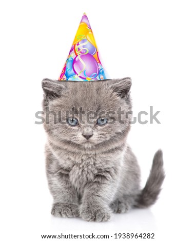 Cute kitten wearing party cap sits in front view and looks at camera. isolated on white background.