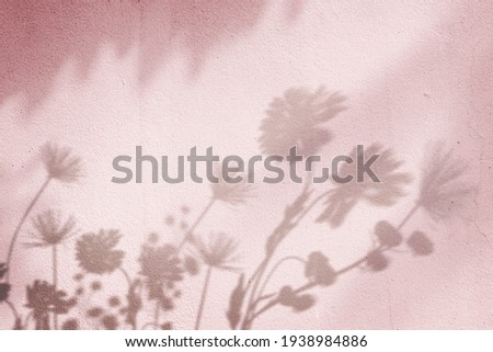 Pink background with floral field shadow Royalty-Free Stock Photo #1938984886