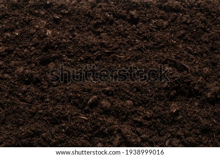 Black land for plant background. Top view.  Royalty-Free Stock Photo #1938999016