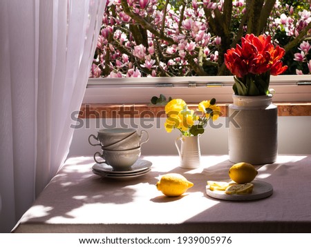 Photo in the interior. Table setting by the open window. Magnolia tree background and flowers visible. On the table there is a lemon and cups for tea or coffee, vases of yellow and red flowers. 