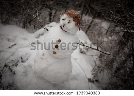 
lonely snowman in the park in the forest