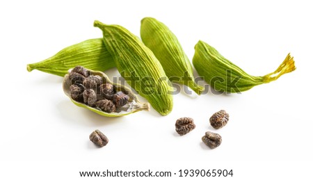 Cardamom pods and seeds isolated on white background Royalty-Free Stock Photo #1939065904