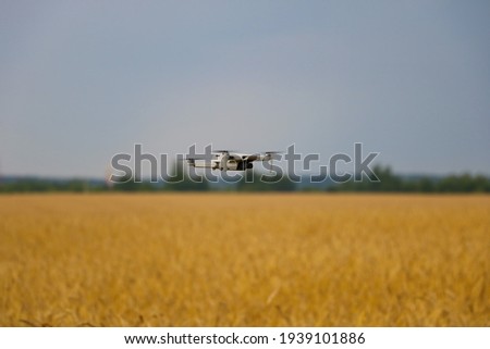A drone flies over a yellow field in the countryside