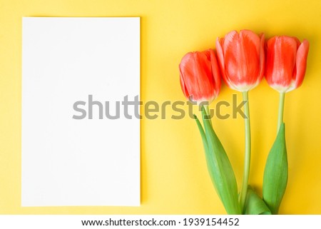 Beautiful red tulips and blank white paper with place for text, yellow background. Flat lay, copy space