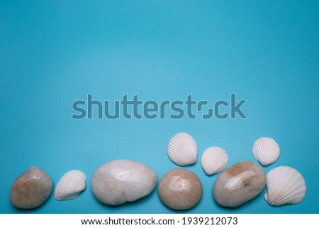 Sea shells and small stones on the blue background, with free space for text.