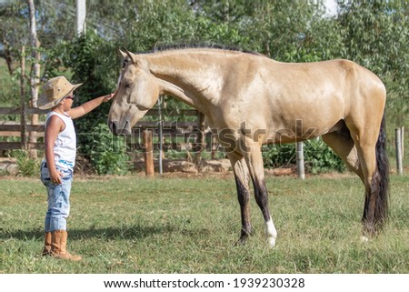 Young boy petting a beautiful horse of the Mangalarga breed. Marching buckskin coat.