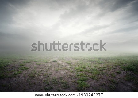 Beautiful grass background with ground mist and clouds Royalty-Free Stock Photo #1939245277