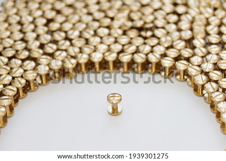 Person Surrounded in Crowd. System screw. Gold cogs on a white background. Concept: a man from the crowd. Crowd control. Screws on white. Network marketing.
