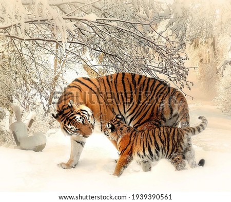 A picture of a Tiger and his son in a professional and wonderful view