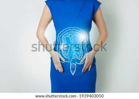 Graphic visualization of healthy human intestine organ, positive blue  bright color of recovery, 
health of internal organs and detox. Vitamin supplement and health of organs concept. Royalty-Free Stock Photo #1939403050