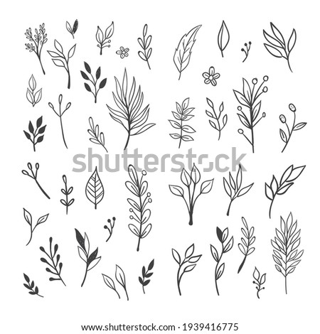 Floral doodle design elements. Hand drawn decorative leaves and wreaths. Flower ornament dividers. Tree branches with leaf and flowers. Royalty-Free Stock Photo #1939416775