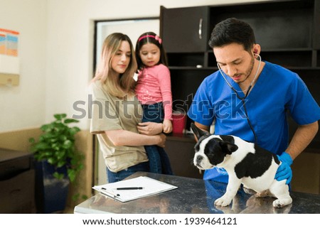 Professional male vet doing a medical exam on a cute boston terrier. Caucasian mom and little daughter waiting for their puppy at the animal clinic  
