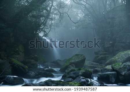 Japanese waterfall in the morning mist  Royalty-Free Stock Photo #1939487587