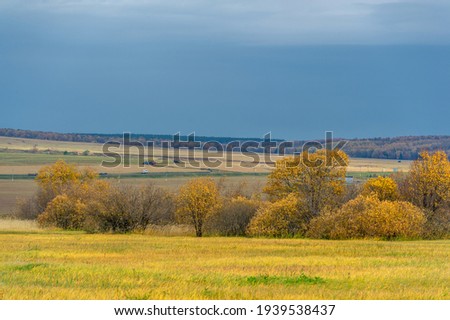 Autumn landscape photography. The European part of the land, fields, meadows, groves in autumn yellow tones. harsh gloomy gray sky in thick clouds