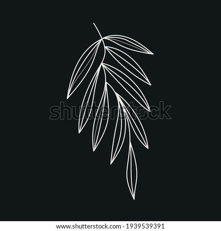 Graphic plant. Linear botanical nature element. Vector design. Spring and summer concept. Minimalism graphic drawing. 