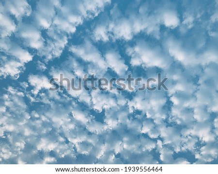 Altocumulus clouds are full of streaks of beautiful usually appear between lower stratus clouds and higher cirrus clouds photographed over at Thailand.no focus Royalty-Free Stock Photo #1939556464
