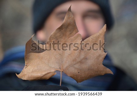 Man taking one Maple Leaf during the autumn in NYC